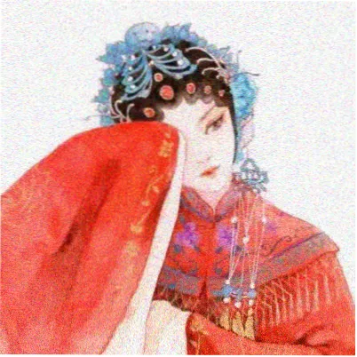 观众麦田里的猫的头像